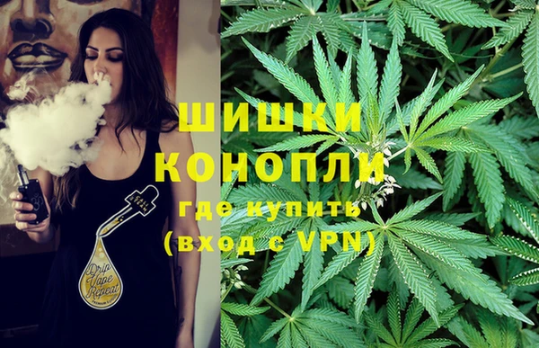 тгк Абаза